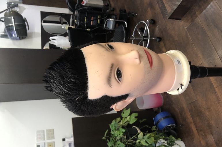 カットウィッグ