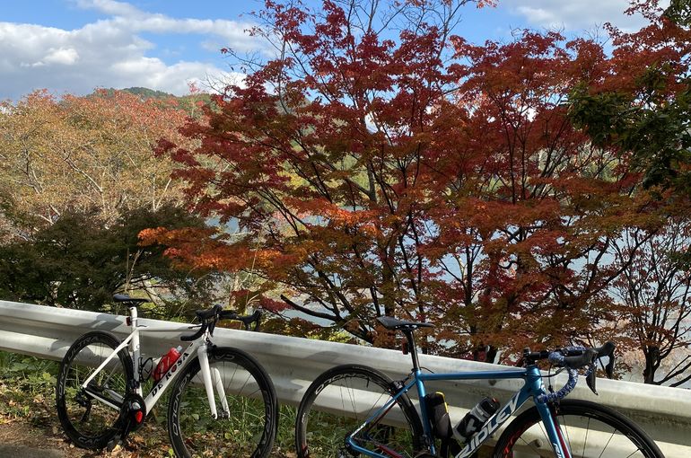 青野ダム　紅葉